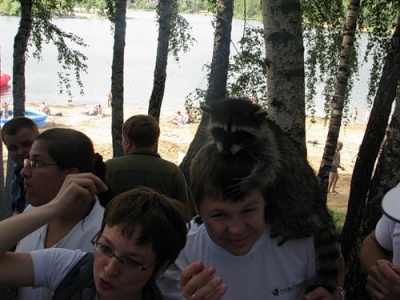 shashliki10_400. shashliki10_400.