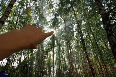 shashliki3_400 shashliki3_400