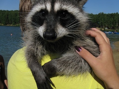 shashliki7_400. shashliki7_400.